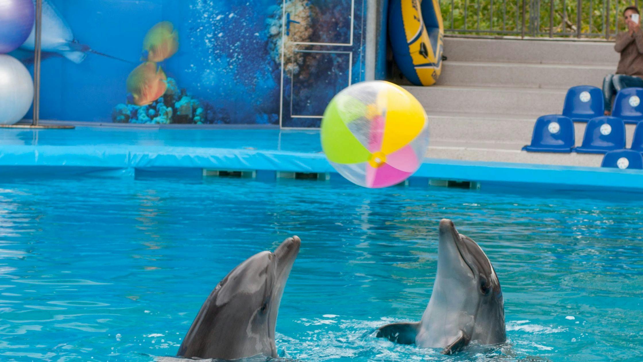 Dubai Dolphinarium